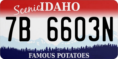 ID license plate 7B6603N