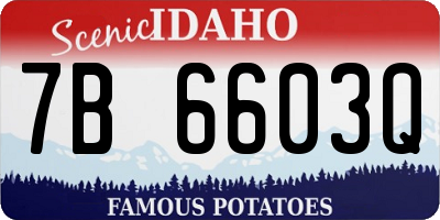 ID license plate 7B6603Q