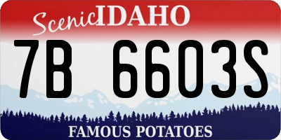 ID license plate 7B6603S