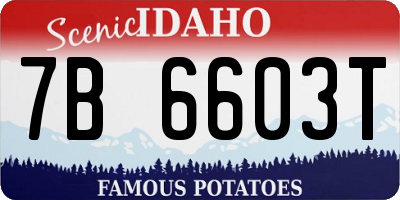 ID license plate 7B6603T
