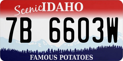 ID license plate 7B6603W