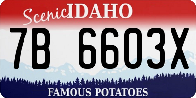 ID license plate 7B6603X
