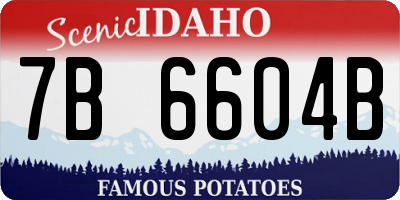 ID license plate 7B6604B