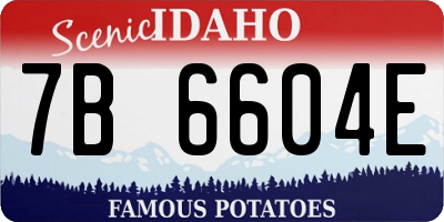 ID license plate 7B6604E