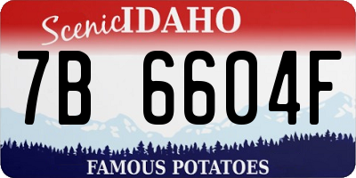 ID license plate 7B6604F