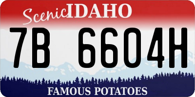 ID license plate 7B6604H