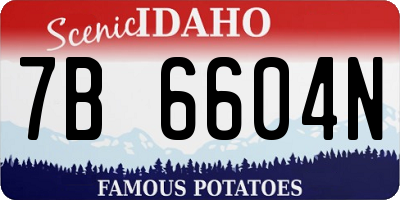 ID license plate 7B6604N
