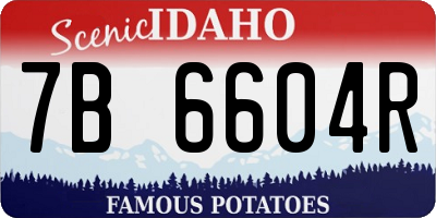 ID license plate 7B6604R