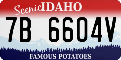 ID license plate 7B6604V