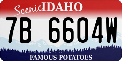ID license plate 7B6604W