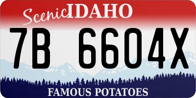 ID license plate 7B6604X
