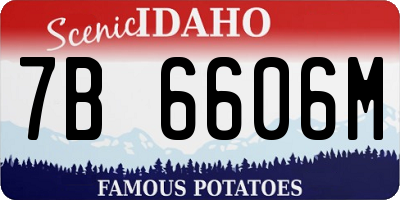 ID license plate 7B6606M