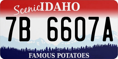 ID license plate 7B6607A