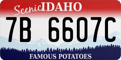 ID license plate 7B6607C