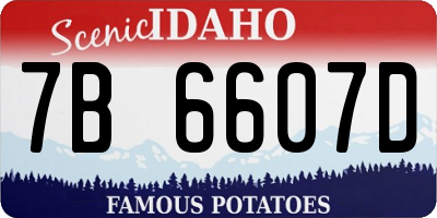 ID license plate 7B6607D