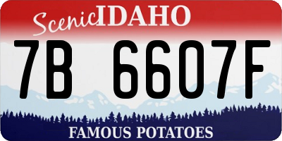 ID license plate 7B6607F