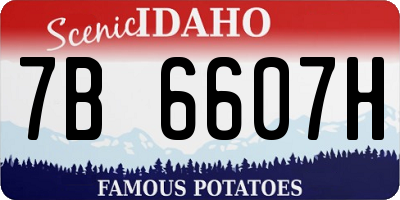 ID license plate 7B6607H