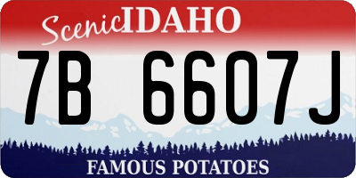 ID license plate 7B6607J