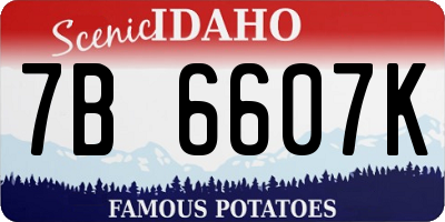 ID license plate 7B6607K