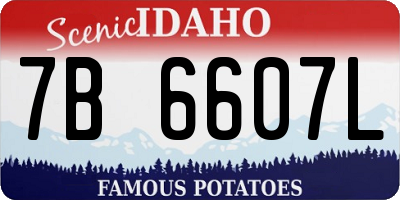 ID license plate 7B6607L