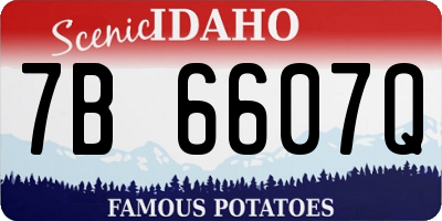 ID license plate 7B6607Q