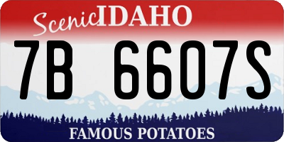 ID license plate 7B6607S