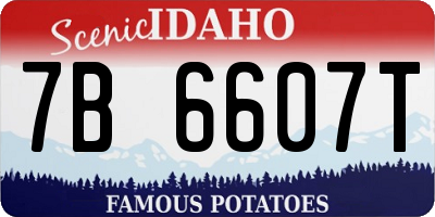 ID license plate 7B6607T