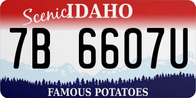 ID license plate 7B6607U