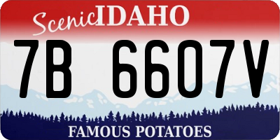 ID license plate 7B6607V