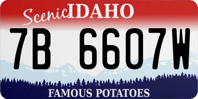 ID license plate 7B6607W