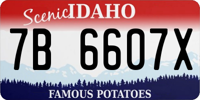 ID license plate 7B6607X