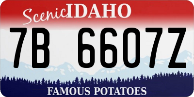 ID license plate 7B6607Z
