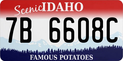 ID license plate 7B6608C