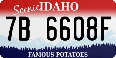 ID license plate 7B6608F