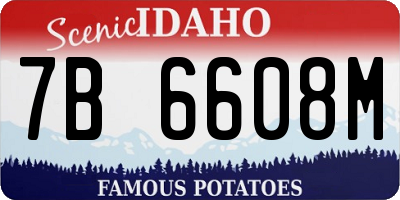 ID license plate 7B6608M