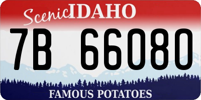 ID license plate 7B6608O