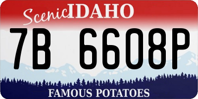 ID license plate 7B6608P