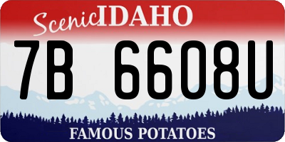 ID license plate 7B6608U