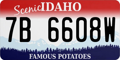 ID license plate 7B6608W