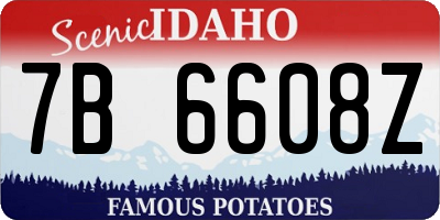 ID license plate 7B6608Z