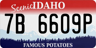ID license plate 7B6609P