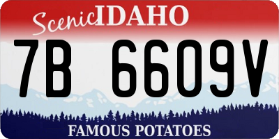 ID license plate 7B6609V