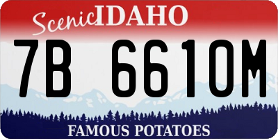 ID license plate 7B6610M