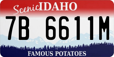 ID license plate 7B6611M