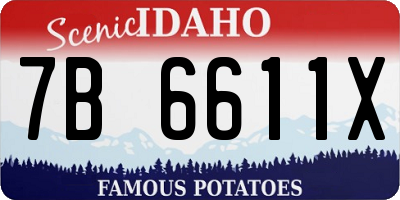 ID license plate 7B6611X