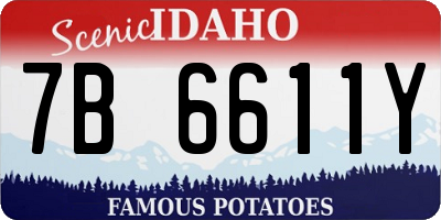 ID license plate 7B6611Y