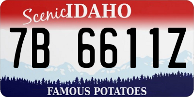 ID license plate 7B6611Z