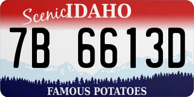 ID license plate 7B6613D