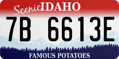ID license plate 7B6613E