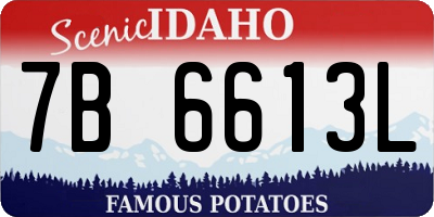 ID license plate 7B6613L